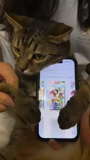 Pokémon TCG Pocket
